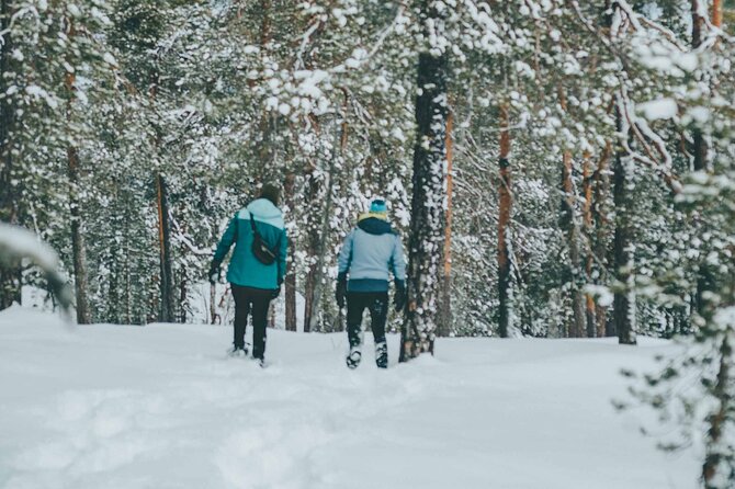 Rovaniemi: Snowshoeing in a magical snowy forest - Timing, weather, and practical planning