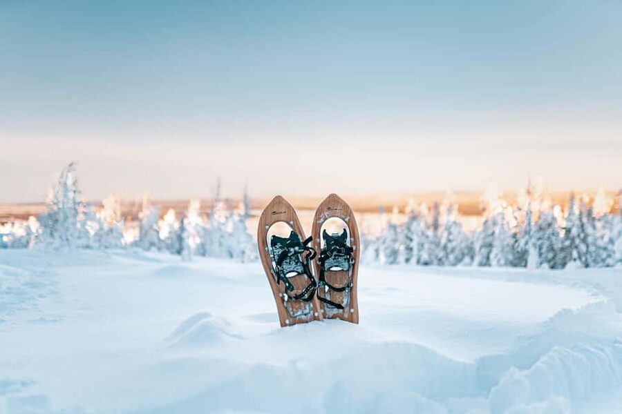 Rovaniemi: Snowshoeing in the Arctic Wilderness - Key points to know before you book