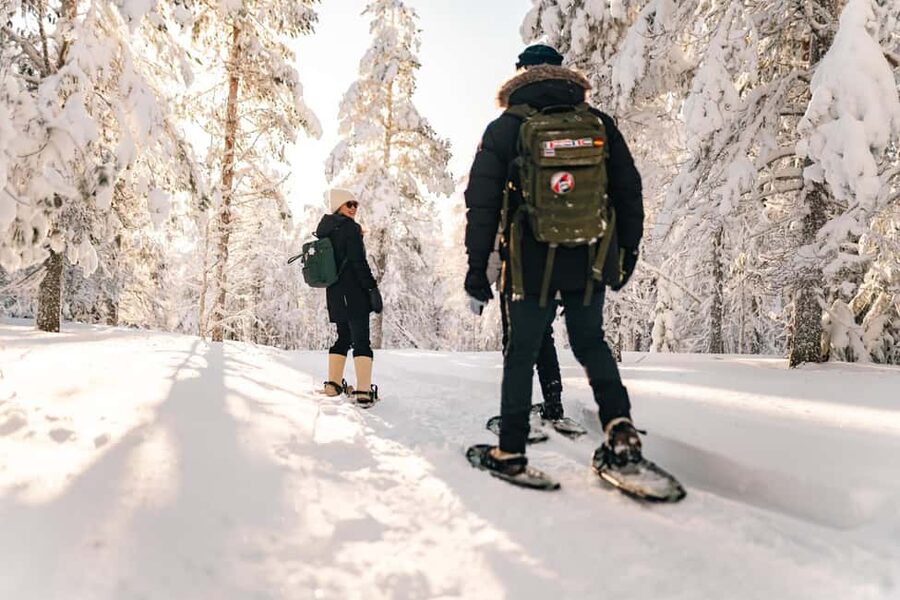 Rovaniemi: Snowshoeing in the Arctic Wilderness - A gentle way into Rovaniemi’s Arctic woods