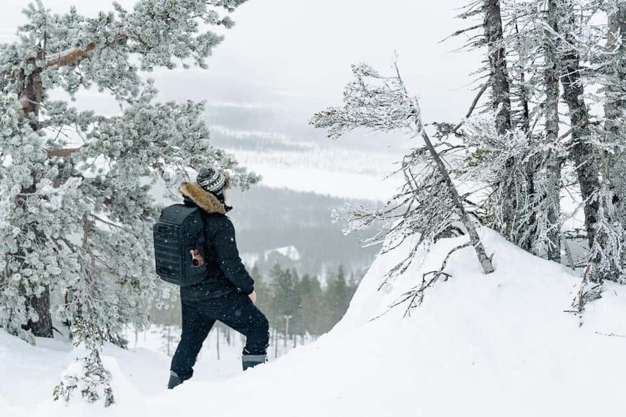 Rovaniemi: Snowshoeing in the Arctic Wilderness - The campfire is more than a snack stop