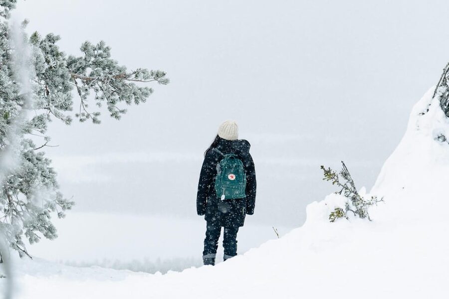 Rovaniemi: Snowshoeing in the Arctic Wilderness - Should you book Rovaniemi snowshoeing?