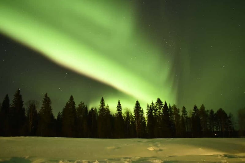Rovaniemi: Snowtrain to Northern Lights Camp - A short walk under the moon and stars
