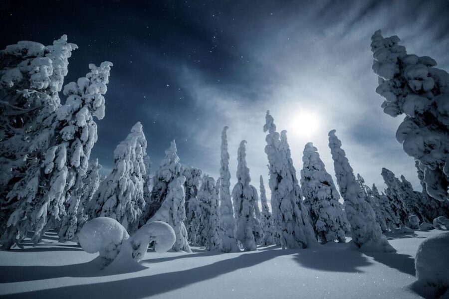 Rovaniemi: Snowy Forest Night Hike with Northern Lights - Walking into Rovaniemi’s winter forest after dark
