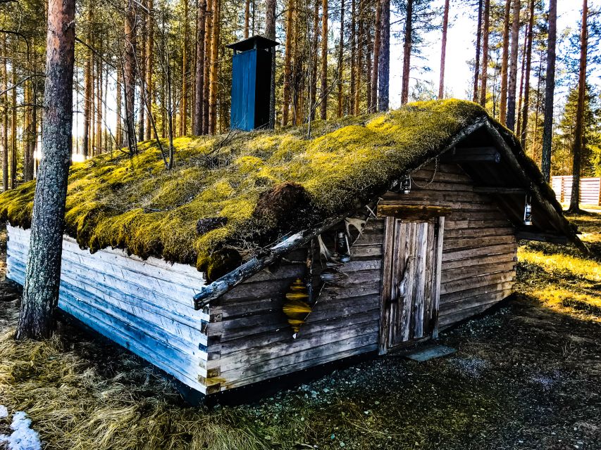 Rovaniemi: Summer Reindeer Farm Experience - Stories in the wooden kota