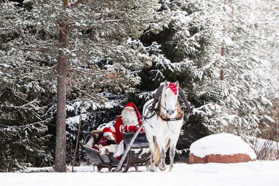 Rovaniemi: Traditional Finnhorse Sleigh Ride at SCV (3km) - What Happens From Arrival to Sleigh
