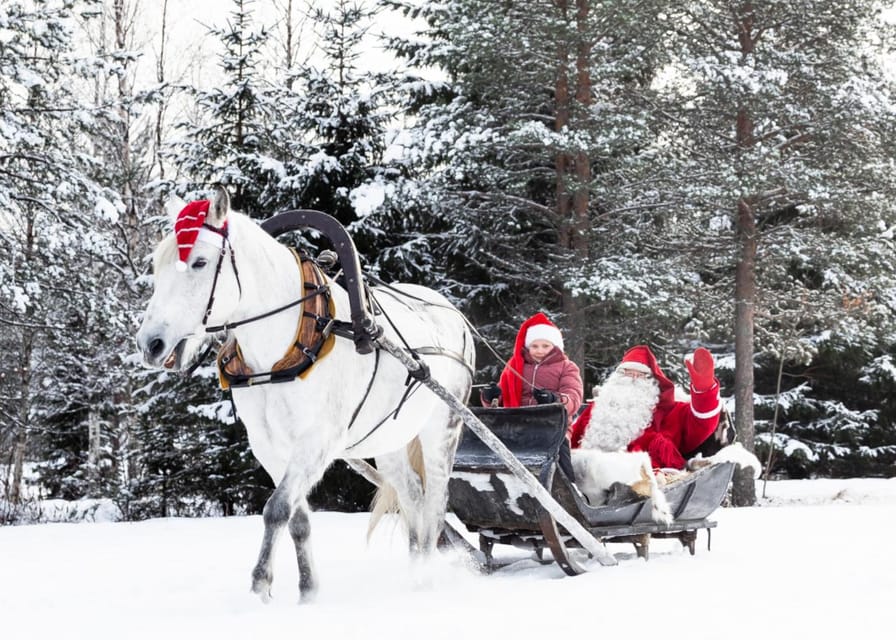Rovaniemi: Traditional Finnhorse Sleigh Ride at SCV (3km) - Caring for the Horse After the Ride