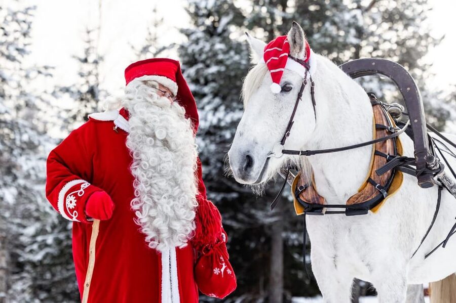Rovaniemi: Traditional Finnhorse Sleigh Ride at SCV (3km) - Under Blankets Through the Snowy Forest