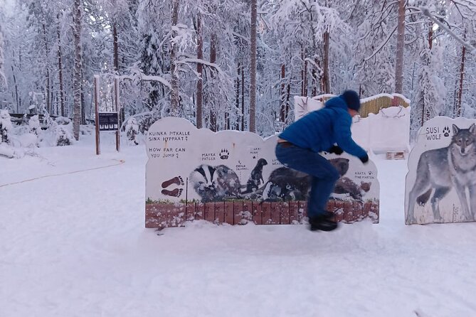 Rovaniemi: Trip to Ranua Zoo with Tickets Included - Why Ranua Zoo makes a worthwhile day trip