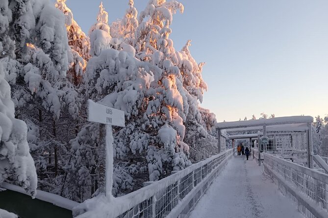 Rovaniemi: Trip to Ranua Zoo with Tickets Included - Lunch, Lapland food, and a Fazer chocolate stop