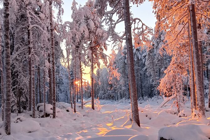 Rovaniemi: Trip to Ranua Zoo with Tickets Included - Is $120.15 good value?