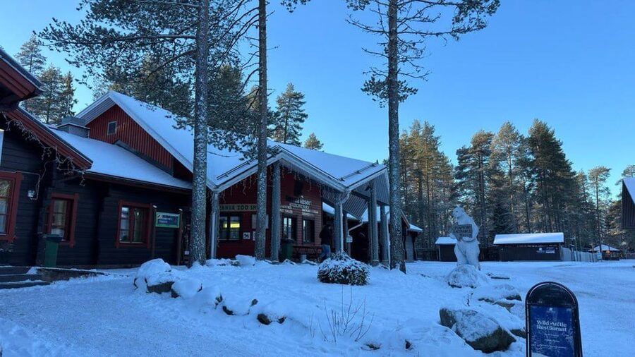 Rovaniemi: trip to the Ranua Zoo (transportation, tickets) - Is $117 per person good value?