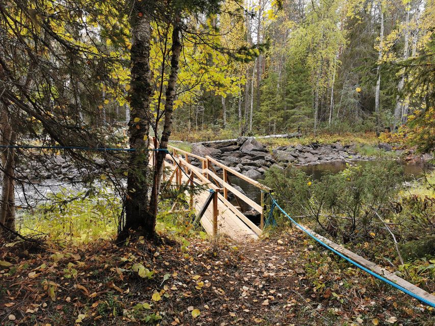 Rovaniemi: Vaattunki Hiking Arctic Circle Trail - How this compares with a tougher Lapland hike