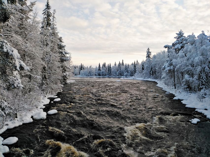 Rovaniemi: Vaattunki Hiking Arctic Circle Trail - What the guide adds to the walk