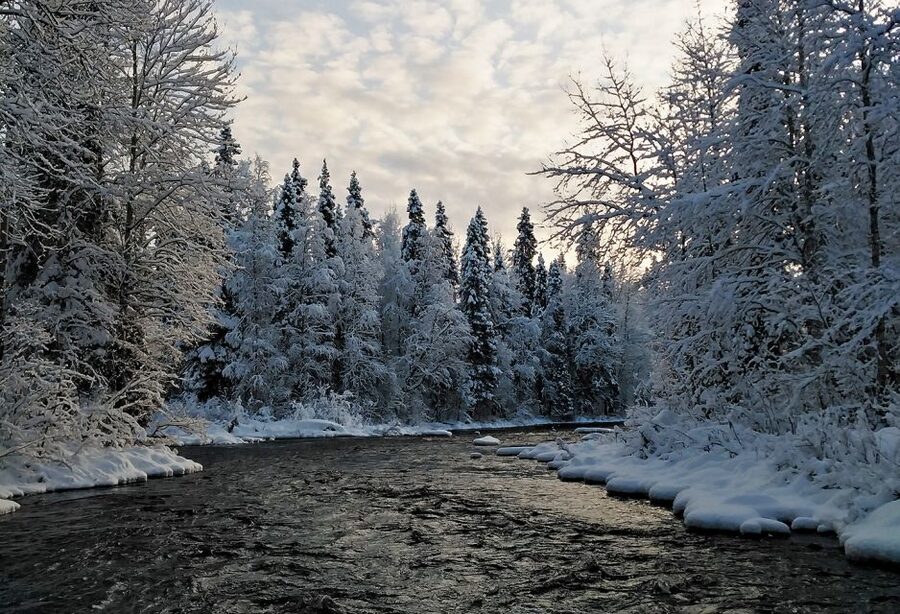 Rovaniemi: Vaattunki Hiking Arctic Circle Trail - Warm drinks and sausages by the open fire