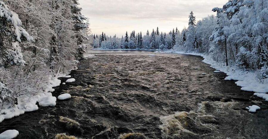 Rovaniemi: Vaattunki Hiking Arctic Circle Trail - Is $104 a fair price?