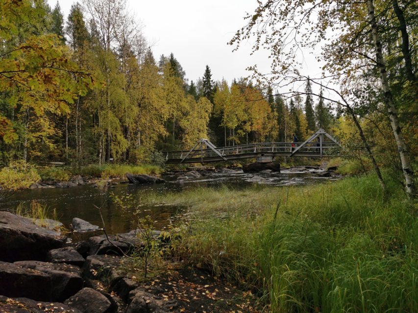 Rovaniemi: Vaattunki Hiking Arctic Circle Trail - Family access and practical comfort