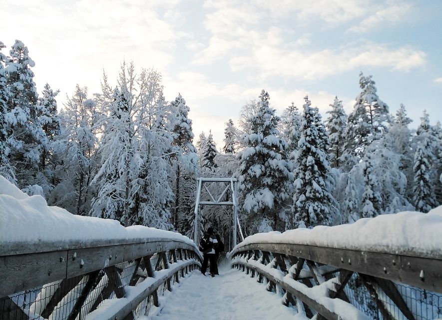Rovaniemi: Vaattunki Hiking Arctic Circle Trail - Walking to Vaattunkiköngäs Falls