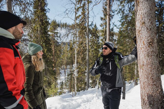 Rovaniemi - Visit to The Frozen Waterfalls of Korouoma - What the small group changes