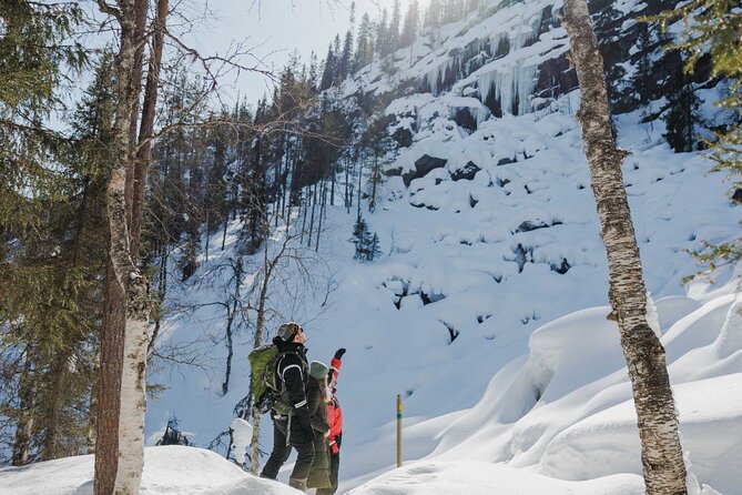 Rovaniemi - Visit to The Frozen Waterfalls of Korouoma - The value of a displayed $0 price