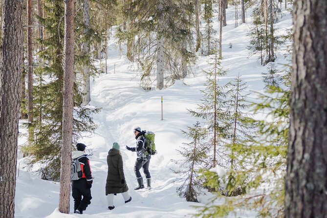 Rovaniemi - Visit to The Frozen Waterfalls of Korouoma - Walking the Koronjää trail