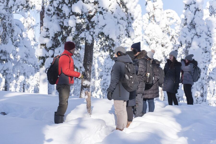 Rovaniemi: Wilderness Tour - Key points at a glance