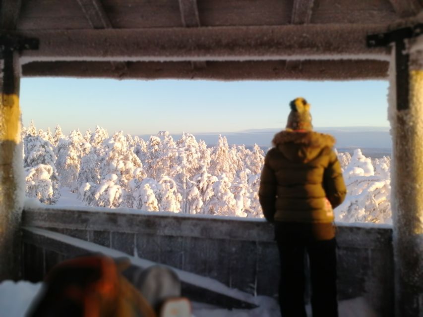 Rovaniemi: Wilderness Tour - The final call