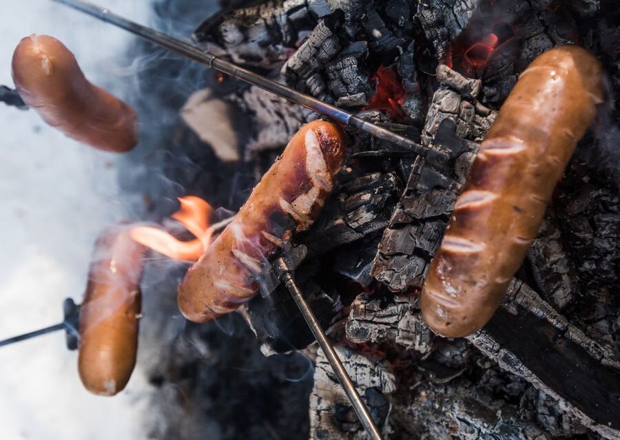 Rovaniemi: Wilderness Tour - Summer turns the same idea into a forest walk