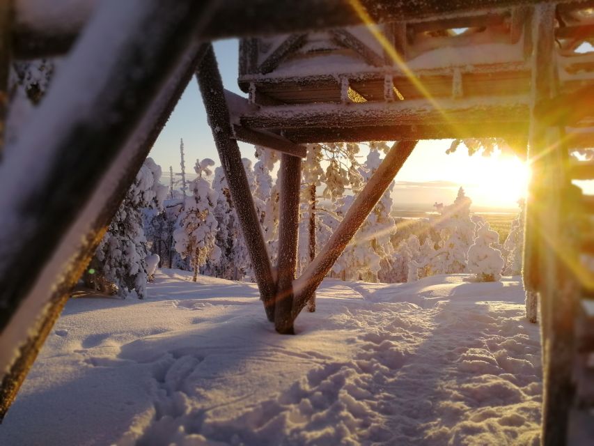 Rovaniemi: Wilderness Tour - The fire lesson is the heart of the tour