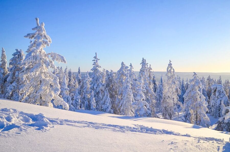 Rovaniemi: Wilderness Tour - How strenuous is the walk?