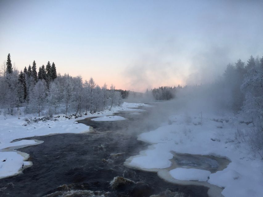 Rovaniemi: Wilderness Tour - Transport and meeting arrangements