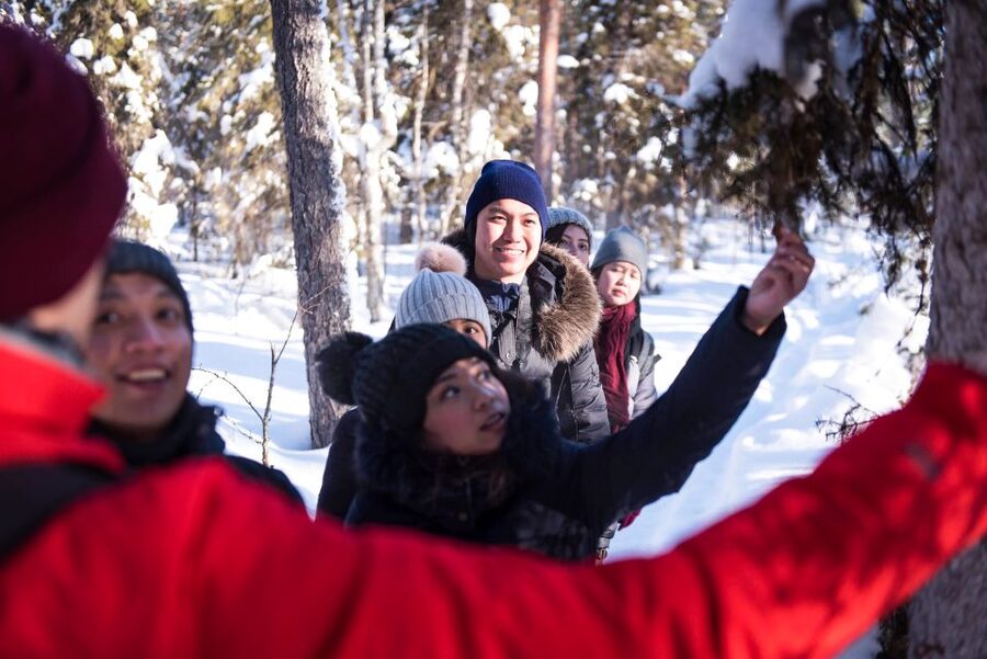 Rovaniemi: Wilderness Tour - Is $104 a fair price?