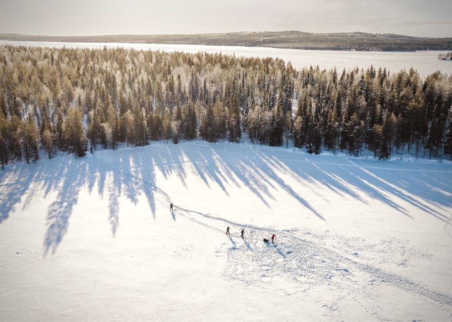 Rovaniemi: Winter Wilderness Snowshoeing Trip - What the three-hour snowshoe trip is really like
