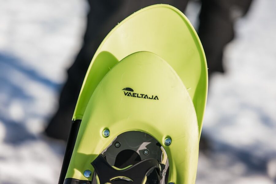 Rovaniemi: Winter Wilderness Snowshoeing Trip - Learning basic Arctic skills by the fire