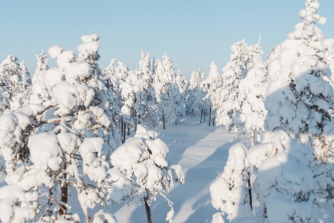 Rovaniemi: Winter Wonderland Vikaköngäs Hiking Tour & BBQ - Snowy trails, frozen water, and a view from the tower