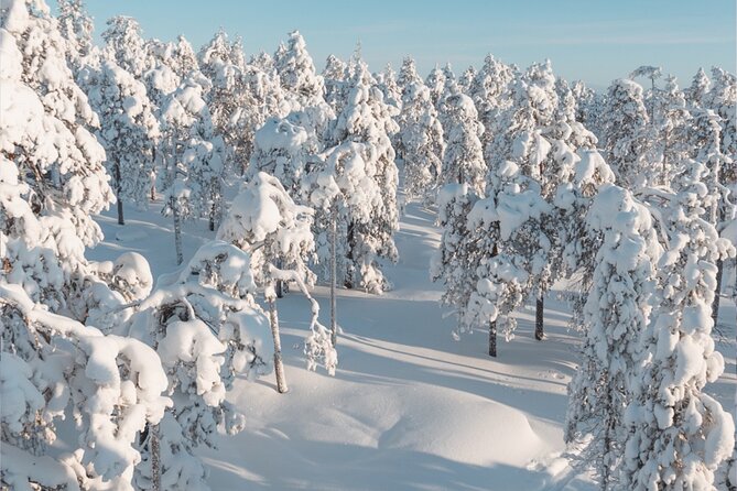Rovaniemi: Winter Wonderland Vikaköngäs Hiking Tour & BBQ - How the small group changes the experience