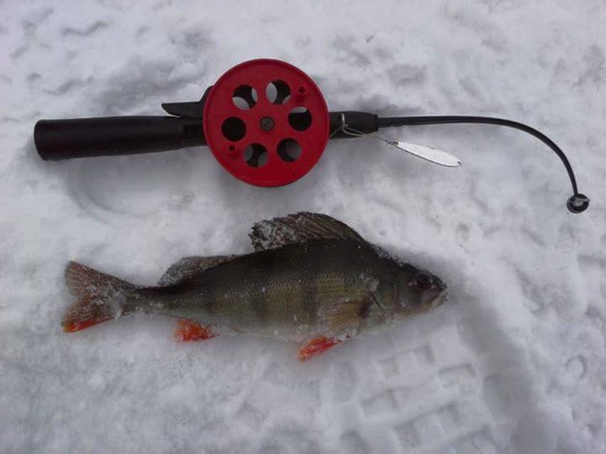 Ruka: Ice fishing trip - Should you book Ruka ice fishing?