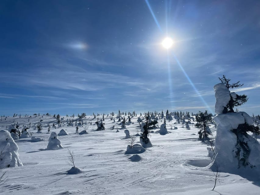 Ruka: Riisitunturi National Park with lunch. - Key points to know before booking