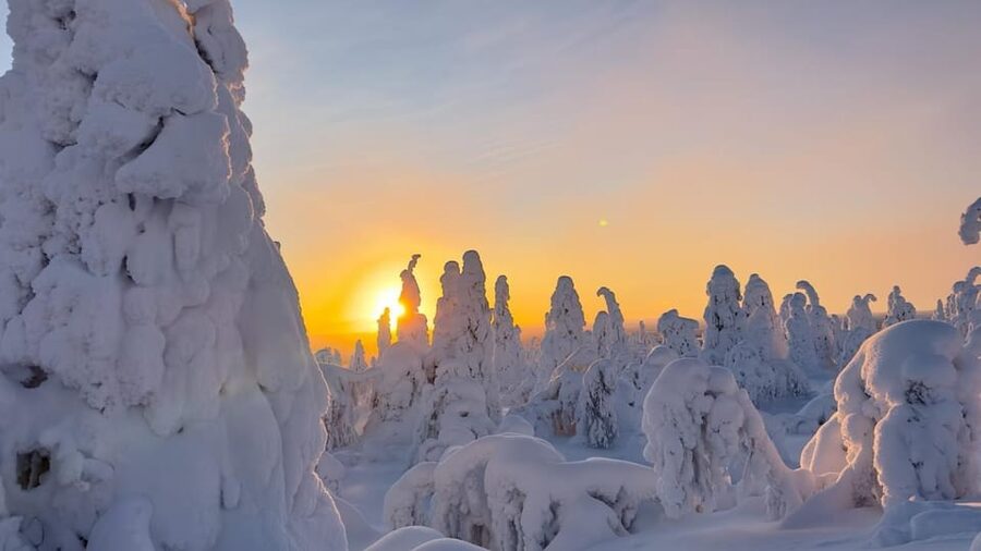 Ruka: Riisitunturi National Park with lunch. - Why Riisitunturi makes a fine day out from Ruka