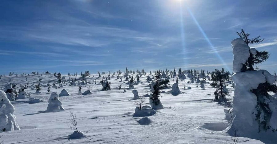 Ruka: Riisitunturi National Park with lunch. - Getting ready at the Riisitunturi car park