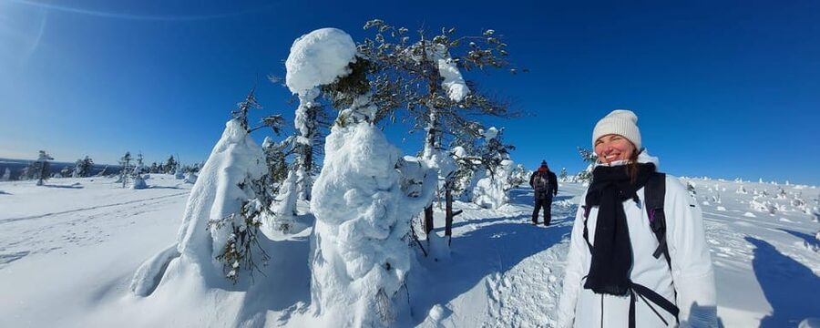 Ruka: Riisitunturi National Park with lunch. - What $170 includes, and where the value lies
