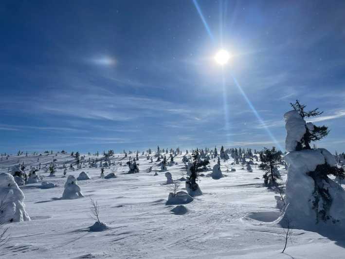 Ruka: Riisitunturi National Park with lunch. - Who will enjoy this six-hour outing