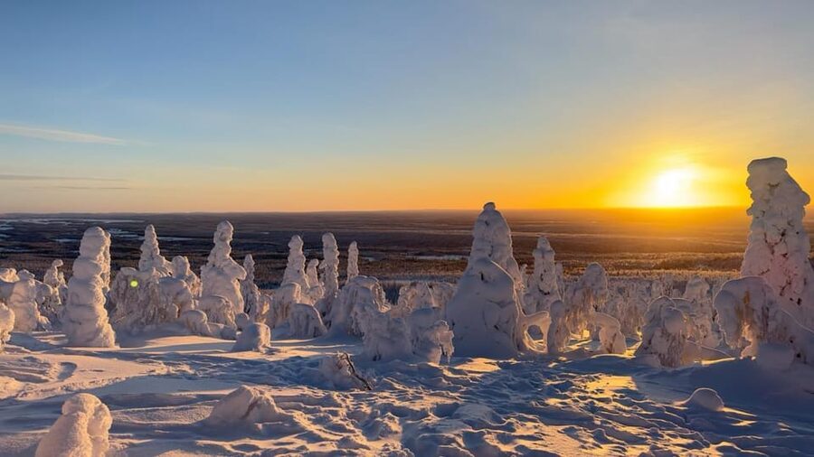 Ruka: Riisitunturi National Park with lunch. - The drive from Ruka or Kuusamo to Posio