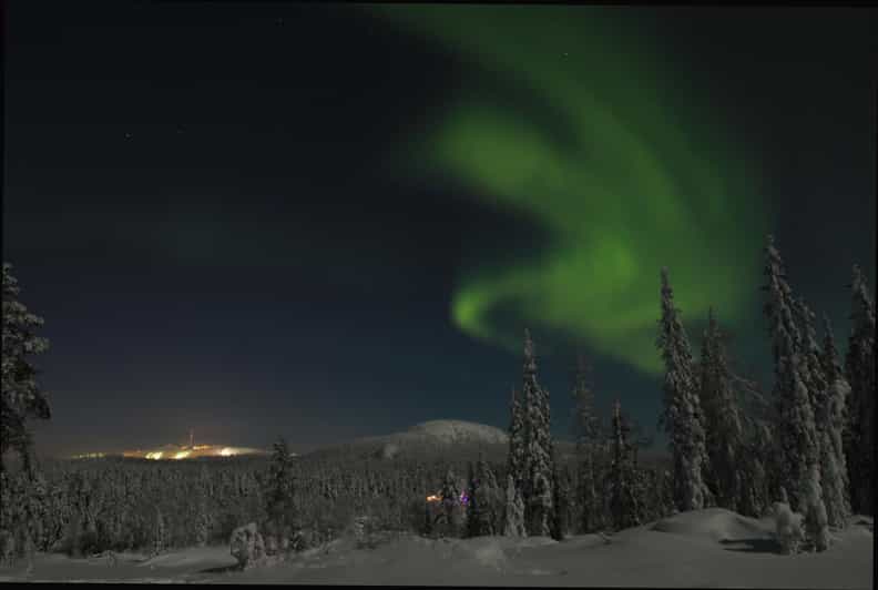 Ruka: Searching for the northern lights with snowshoes - Animal tracks make the forest feel alive