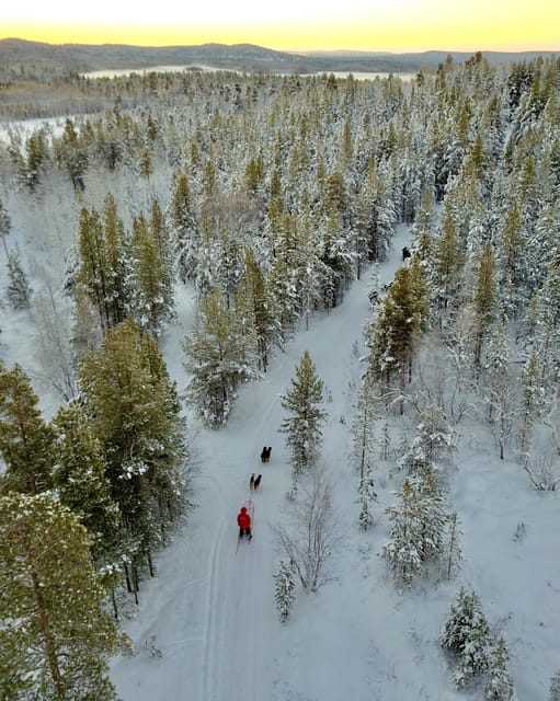 Saariselkä: 10KM Husky Safari with kennel visit - Taking the wheel on a 10-kilometer husky route