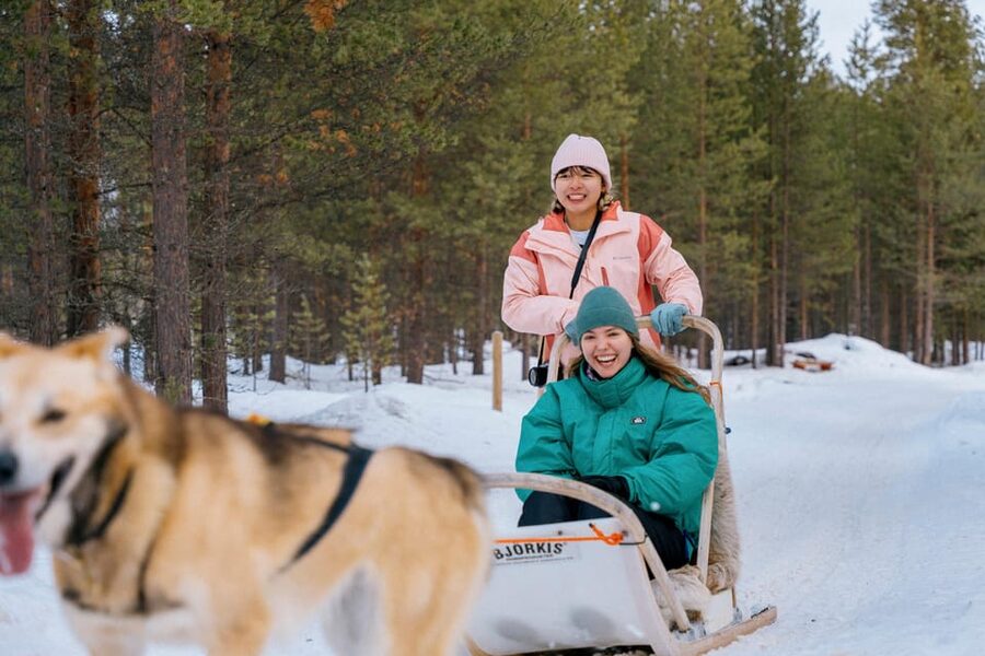 Saariselkä: 10KM Husky Safari with kennel visit - A 15-minute safety talk that earns its place