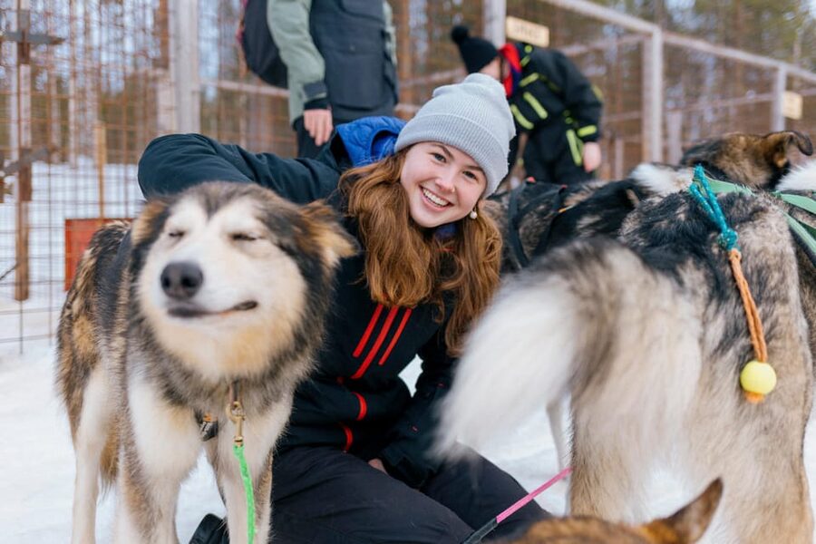 Saariselkä: 10KM Husky Safari with kennel visit - Through snowy forest and Arctic scenery