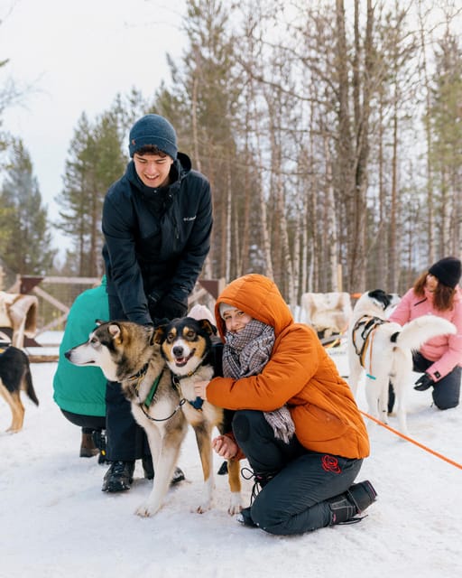 Saariselkä: 10KM Husky Safari with kennel visit - Meeting the dogs after the run