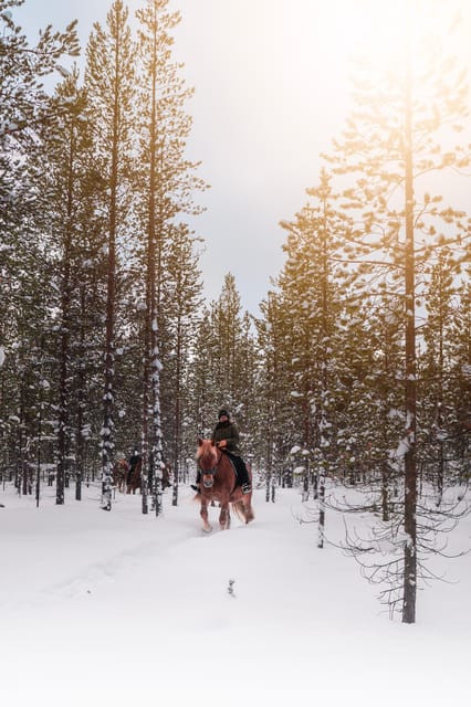 Saariselkä: Arctic Trail Horse Riding Tour - A slow ride through snowy Finnish woods