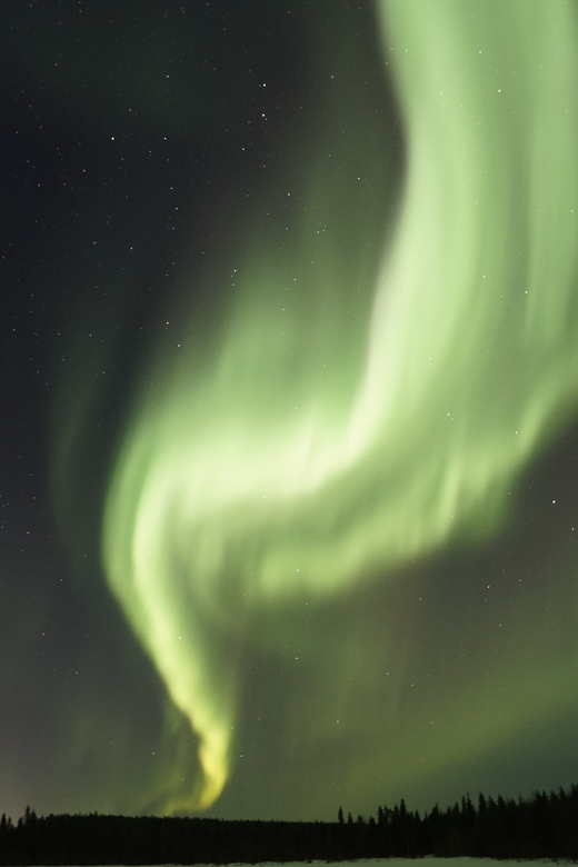Saariselkä: Aurora Photo Tour by Car with Transfer & Drinks - The photography side of the experience