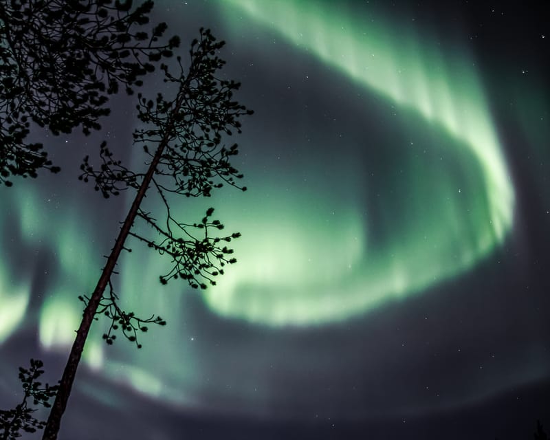 Saariselkä: Aurora Photo Tour by Car with Transfer & Drinks - Booking details worth checking before you go